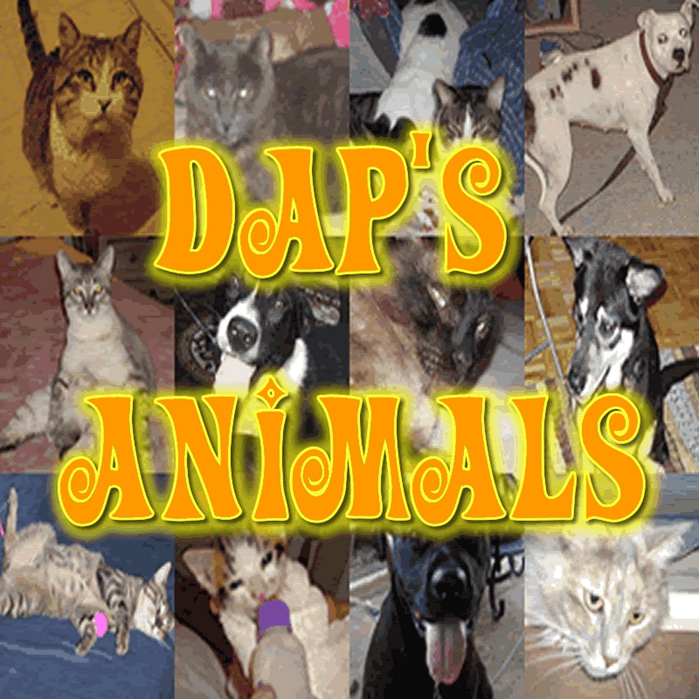 Meet your Posher, Diane